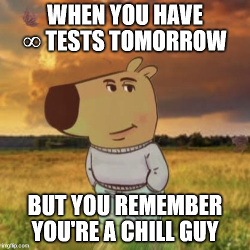 Chill guy | WHEN YOU HAVE ∞ TESTS TOMORROW; BUT YOU REMEMBER YOU'RE A CHILL GUY | image tagged in chill guy | made w/ Imgflip meme maker