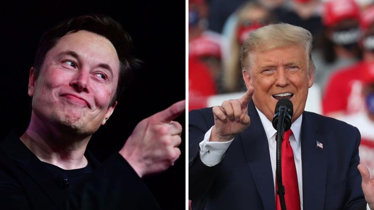 High Quality Musk and Trump Blank Meme Template