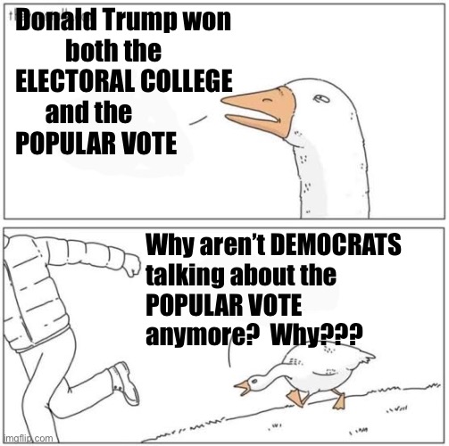 FACT CHECK me please | Donald Trump won 
          both the 
ELECTORAL COLLEGE 
      and the 
POPULAR VOTE; Why aren’t DEMOCRATS 
talking about the 
POPULAR VOTE 
anymore?  Why??? | image tagged in angry goose | made w/ Imgflip meme maker