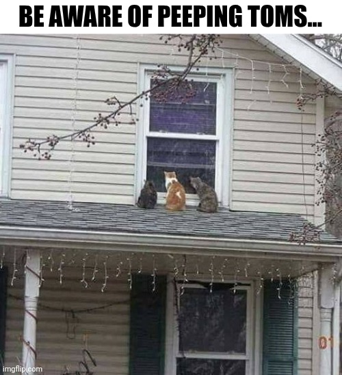 Be Aware Of Peeping Toms... | BE AWARE OF PEEPING TOMS... | image tagged in chris joines | made w/ Imgflip meme maker