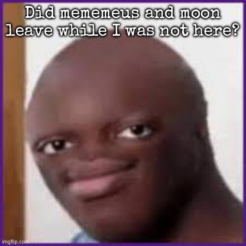 Bald Ksi | Did mememeus and moon leave while I was not here? | image tagged in bald ksi,msmg | made w/ Imgflip meme maker