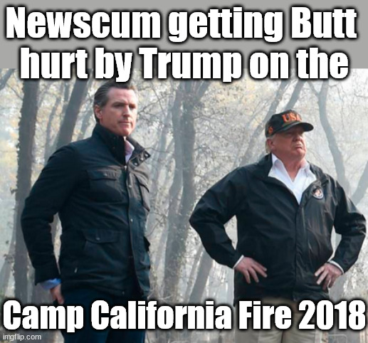 California Fires | Newscum getting Butt 
hurt by Trump on the; Camp California Fire 2018 | image tagged in california fires,trump,newscum,dei hires,democratic socialism | made w/ Imgflip meme maker