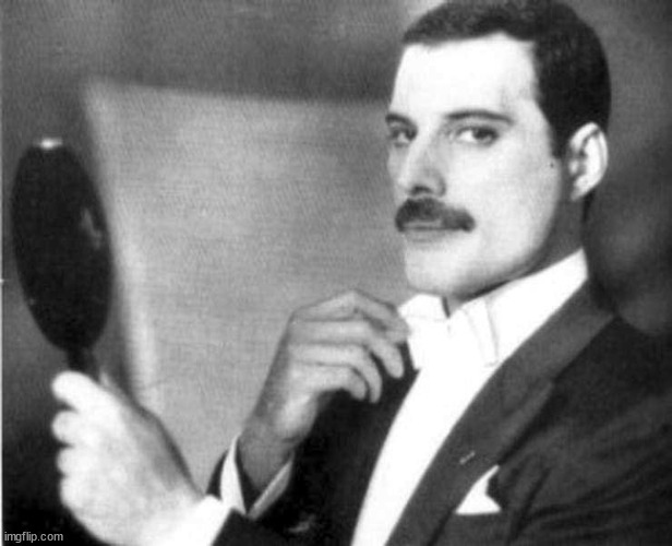 Elegant Freddie Mercury | image tagged in elegant freddie mercury | made w/ Imgflip meme maker