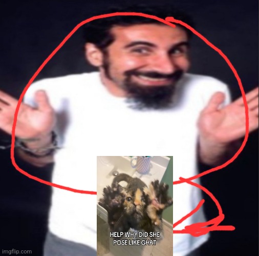 Real | image tagged in serj tankian | made w/ Imgflip meme maker