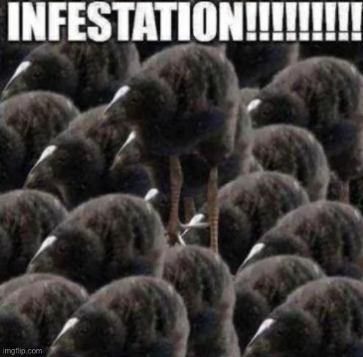 Reddit rn: | made w/ Imgflip meme maker