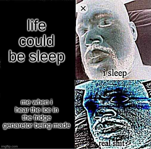 sleeeeeeeeeeeeeeeeeeeeeeeeeeeeeeeeeeeeeeeeeeeeeeeeeeeping me | life could be sleep; me when i hear the ice in the fridge genaretor being made | image tagged in memes,sleeping shaq | made w/ Imgflip meme maker