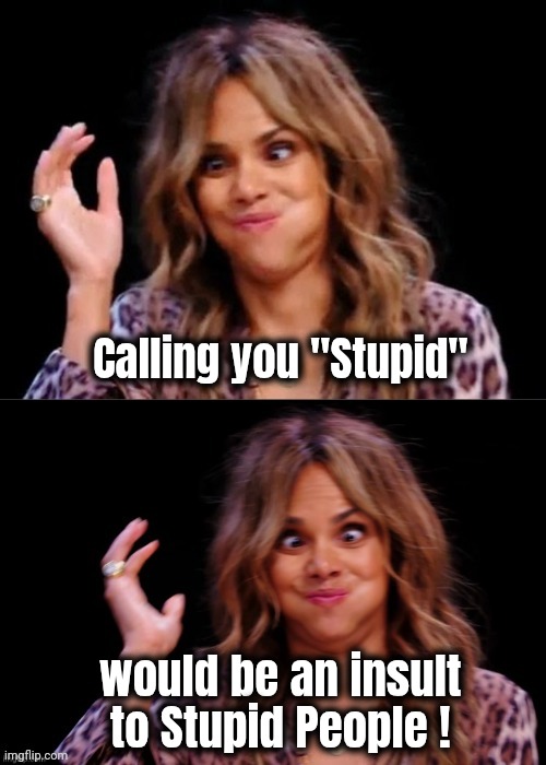 Lovely Halle Berry | Calling you "Stupid" would be an insult to Stupid People ! | image tagged in lovely halle berry | made w/ Imgflip meme maker