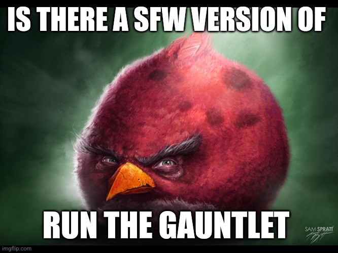 Is there? | IS THERE A SFW VERSION OF; RUN THE GAUNTLET | image tagged in realistic angry bird big red | made w/ Imgflip meme maker