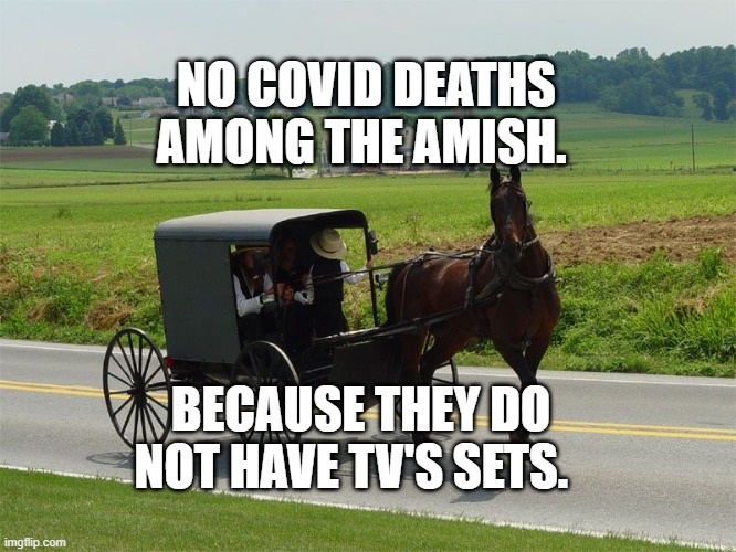 Amish Peeps | NO COVID DEATHS AMONG THE AMISH. BECAUSE THEY DO NOT HAVE TV'S SETS. | image tagged in amish peeps | made w/ Imgflip meme maker