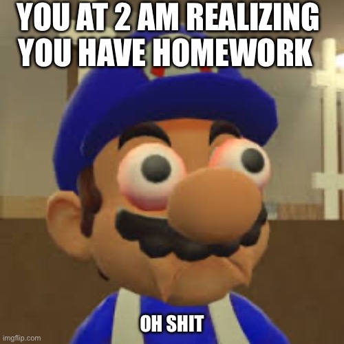 Smg4 Oh Shit | YOU AT 2 AM REALIZING YOU HAVE HOMEWORK; OH SHIT | image tagged in smg4 oh shit | made w/ Imgflip meme maker