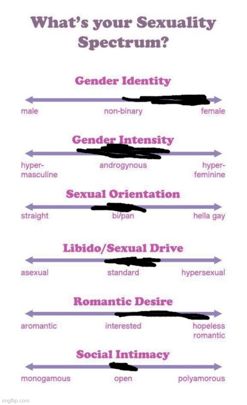 What's your sexuality spectrum? | image tagged in what's your sexuality spectrum | made w/ Imgflip meme maker