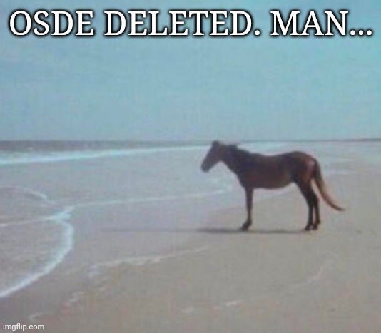 man. | OSDE DELETED. MAN... | image tagged in man | made w/ Imgflip meme maker