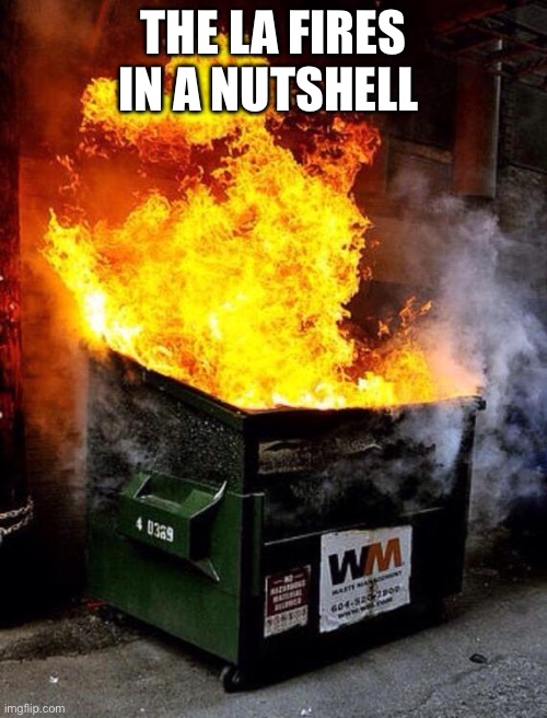 Dumpster Fire | THE LA FIRES IN A NUTSHELL | image tagged in dumpster fire | made w/ Imgflip meme maker