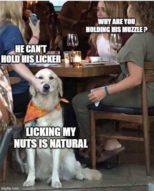 Lady holding dog mouth closed | WHY ARE YOU HOLDING HIS MUZZLE ? HE CAN'T HOLD HIS LICKER; LICKING MY NUTS IS NATURAL | image tagged in lady holding dog mouth closed | made w/ Imgflip meme maker