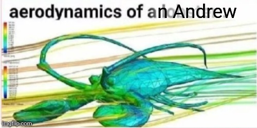 Aerodynamics of a lobster | n Andrew | image tagged in aerodynamics of a lobster | made w/ Imgflip meme maker