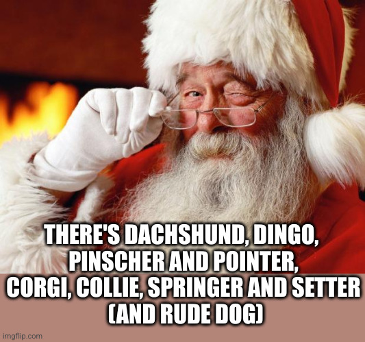 santa | THERE'S DACHSHUND, DINGO, 
PINSCHER AND POINTER,
CORGI, COLLIE, SPRINGER AND SETTER
 (AND RUDE DOG) | image tagged in santa | made w/ Imgflip meme maker