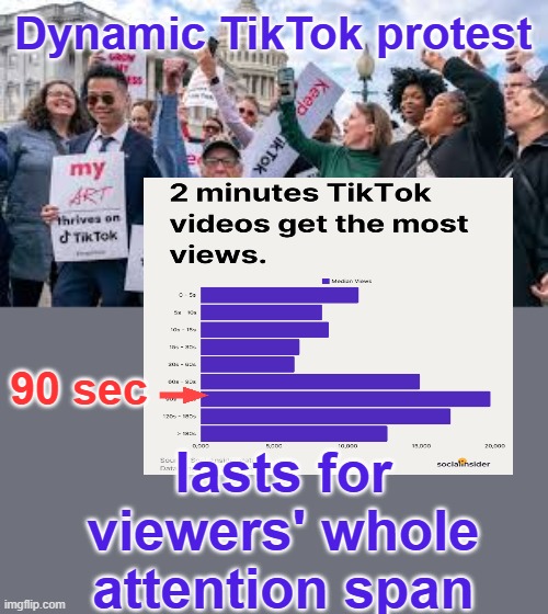 Modern problems require -- cat gifs? | Dynamic TikTok protest; 90 sec; lasts for viewers' whole attention span | image tagged in tiktok,protest,modern problems | made w/ Imgflip meme maker