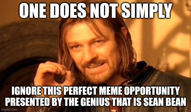 I'm already cracked at this | ONE DOES NOT SIMPLY; IGNORE THIS PERFECT MEME OPPORTUNITY PRESENTED BY THE GENIUS THAT IS SEAN BEAN | image tagged in memes,one does not simply | made w/ Imgflip meme maker