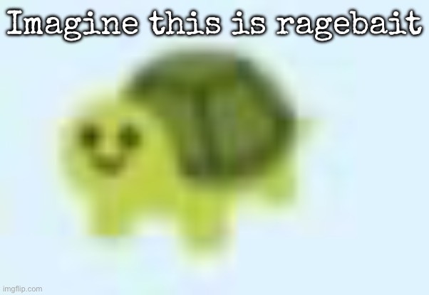 low quality turtle | Imagine this is ragebait | image tagged in low quality turtle,msmg | made w/ Imgflip meme maker