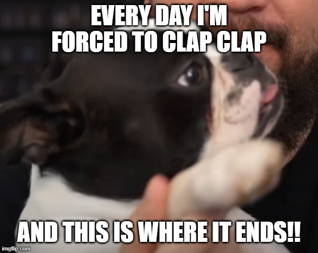 Goomba has had enough | EVERY DAY I'M FORCED TO CLAP CLAP; AND THIS IS WHERE IT ENDS!! | image tagged in revenge,funny dogs,memes | made w/ Imgflip meme maker