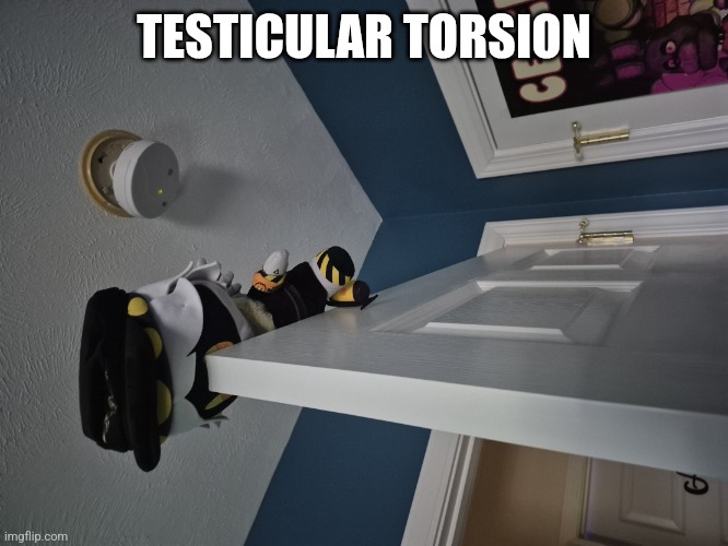 TT | TESTICULAR TORSION | image tagged in wyhshs,testicles,why are you reading the tags | made w/ Imgflip meme maker