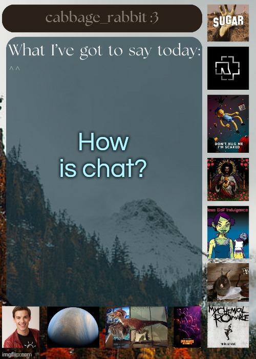 Check up | How is chat? | image tagged in cabbage_rabbit | made w/ Imgflip meme maker