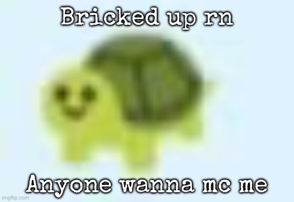 low quality turtle | Bricked up rn; Anyone wanna mc me | image tagged in low quality turtle,msmg | made w/ Imgflip meme maker