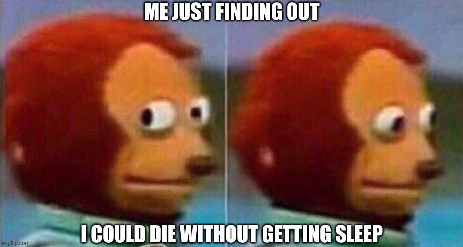 Monkey looking away | ME JUST FINDING OUT; I COULD DIE WITHOUT GETTING SLEEP | image tagged in monkey looking away | made w/ Imgflip meme maker