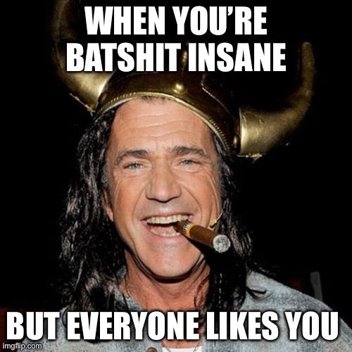 WHEN YOU’RE BATSHIT INSANE; BUT EVERYONE LIKES YOU | image tagged in mel gibson,funny,funny memes | made w/ Imgflip meme maker