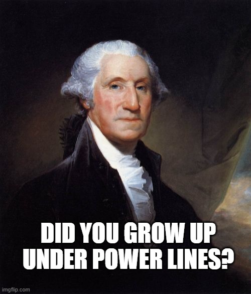 George Washington Meme | DID YOU GROW UP UNDER POWER LINES? | image tagged in memes,george washington | made w/ Imgflip meme maker