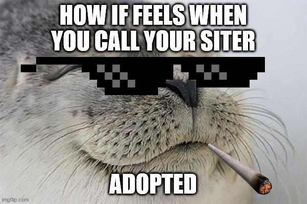 Satisfied Seal | HOW IF FEELS WHEN YOU CALL YOUR SITER; ADOPTED | image tagged in memes,satisfied seal | made w/ Imgflip meme maker