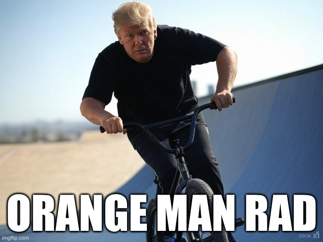 He's Ready to Shred...Regulations | ORANGE MAN RAD | image tagged in donald trump | made w/ Imgflip meme maker