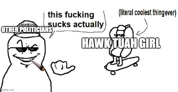 this sucks actually | OTHER POLITICIANS; HAWK TUAH GIRL | image tagged in this sucks actually | made w/ Imgflip meme maker