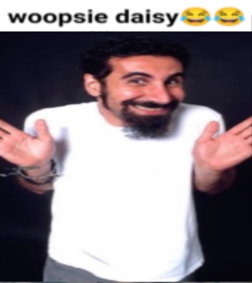 Serj tankian whoopsie daisy | image tagged in serj tankian whoopsie daisy | made w/ Imgflip meme maker