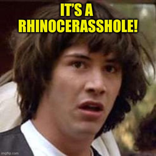 Conspiracy Keanu Meme | IT’S A 
RHINOCERASSHOLE! | image tagged in memes,conspiracy keanu | made w/ Imgflip meme maker