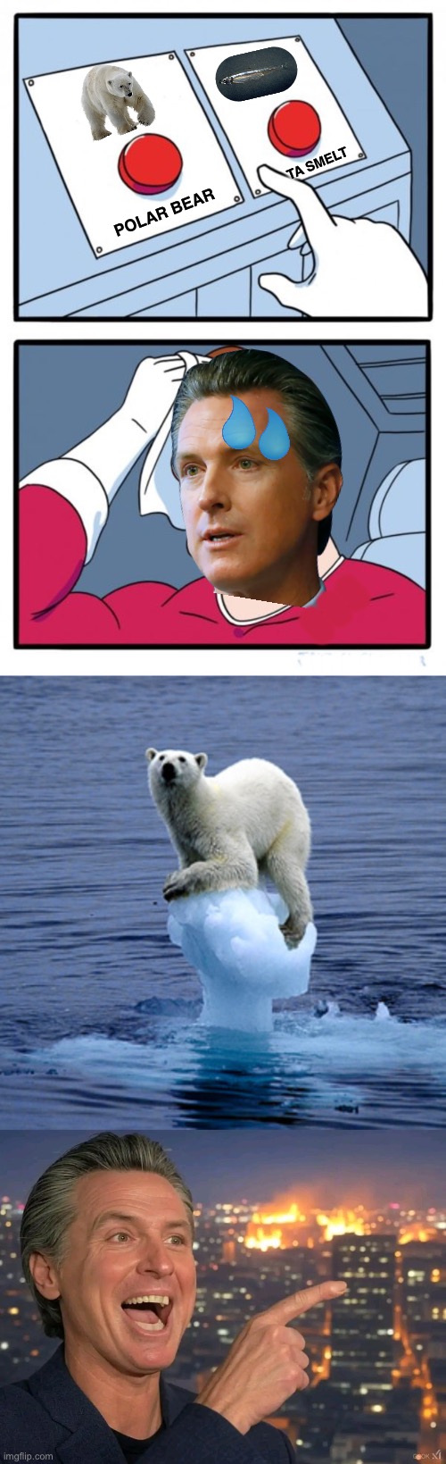 Gavin Newsom’s environmental impact | TA SMELT; POLAR BEAR; OOO; OOOOOOOOOOOO | image tagged in global warming polar bear,gavin newsome california fire,california fires,wildfires,gavin,delta | made w/ Imgflip meme maker