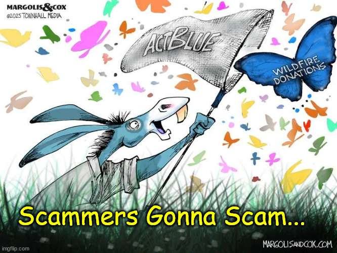 Scammers Gonna Scam... | Scammers Gonna Scam... | image tagged in democrats,scamming,wildfire,victims | made w/ Imgflip meme maker