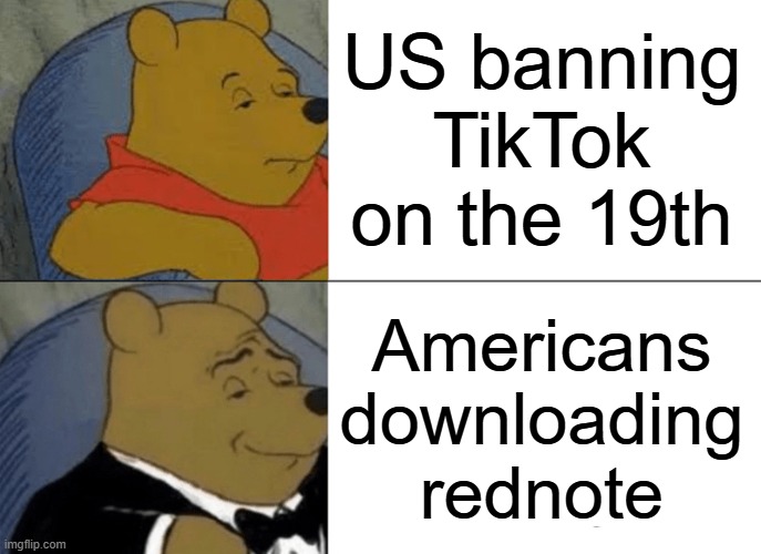 Tuxedo Winnie The Pooh Meme | US banning TikTok on the 19th Americans downloading rednote | image tagged in memes,tuxedo winnie the pooh | made w/ Imgflip meme maker