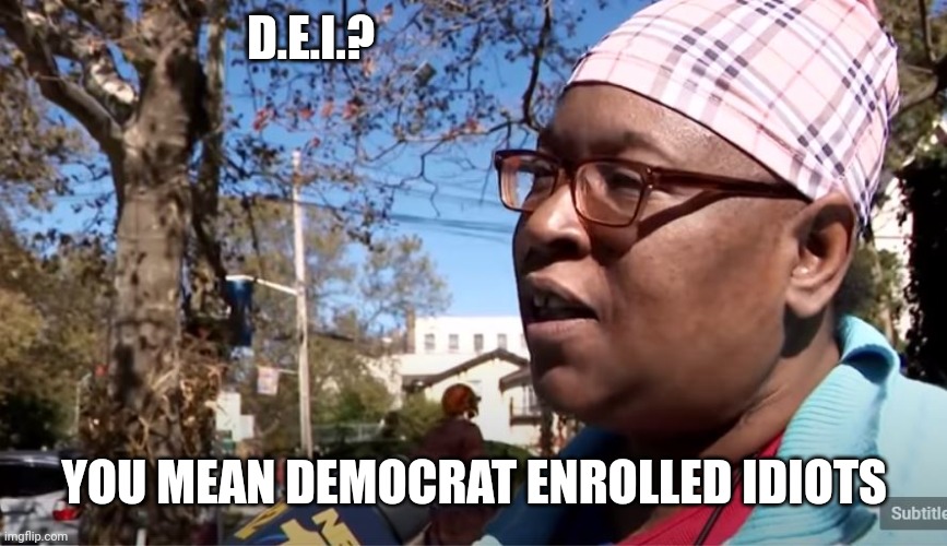 THEY DIDN'T EARN IT | D.E.I.? YOU MEAN DEMOCRAT ENROLLED IDIOTS | image tagged in diversity,woke,idiots,democrats,politics | made w/ Imgflip meme maker