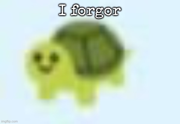 low quality turtle | I forgor | image tagged in low quality turtle,msmg | made w/ Imgflip meme maker