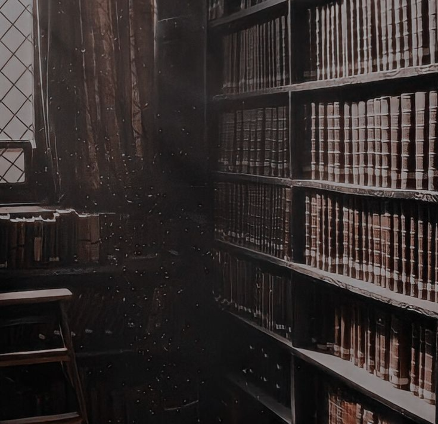Library. 2/3 Blank Meme Template