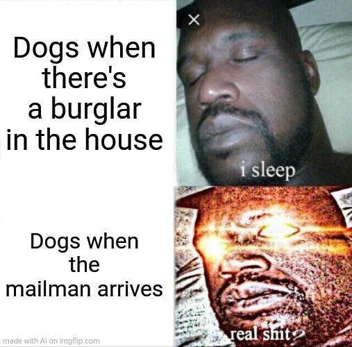 Sleeping Shaq | Dogs when there's a burglar in the house; Dogs when the mailman arrives | image tagged in memes,sleeping shaq | made w/ Imgflip meme maker