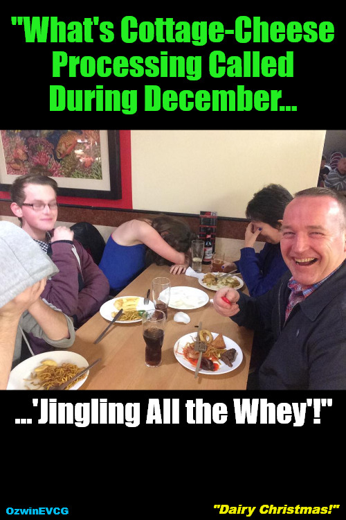 "Dairy Christmas!" | "What's Cottage-Cheese 

Processing Called 

During December... ...'Jingling All the Whey'!"; "Dairy Christmas!"; OzwinEVCG | image tagged in jokes,puns,merry christmas,cottage cheese,curds and whey,carols | made w/ Imgflip meme maker