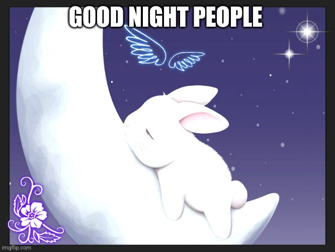 Ye | GOOD NIGHT PEOPLE | image tagged in good night bunny | made w/ Imgflip meme maker