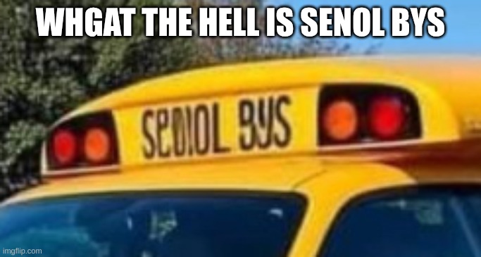 WHGAT THE HELL IS SENOL BYS | made w/ Imgflip meme maker