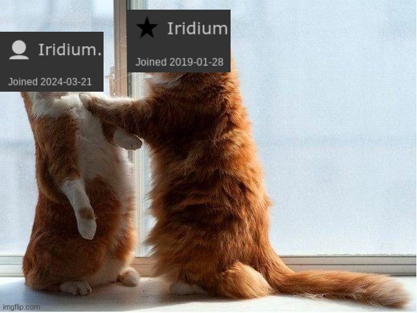 iridium | image tagged in confrontation cat | made w/ Imgflip meme maker