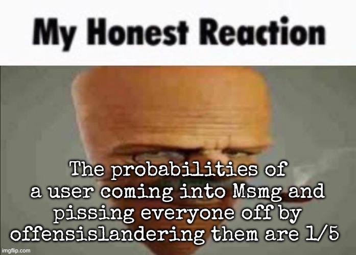 My honest reaction | The probabilities of a user coming into Msmg and pissing everyone off by offensively slandering them are 1/5 | image tagged in my honest reaction,msmg | made w/ Imgflip meme maker