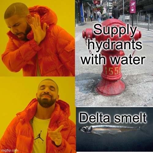 Priorities | Supply hydrants with water Delta smelt | image tagged in memes,drake hotline bling,smelt,gavin newsom,california fires | made w/ Imgflip meme maker