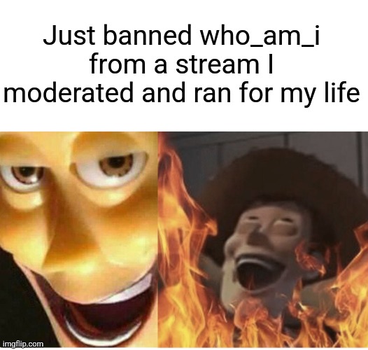 It was a dead stream but it's still funny | Just banned who_am_i from a stream I moderated and ran for my life | image tagged in fire woody | made w/ Imgflip meme maker