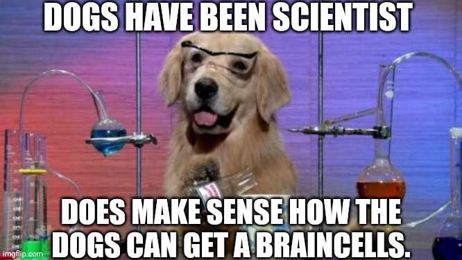 Chemistry Dog | DOGS HAVE BEEN SCIENTIST; DOES MAKE SENSE HOW THE DOGS CAN GET A BRAINCELLS. | image tagged in chemistry dog,meme,scientist,exist,braincells,dog | made w/ Imgflip meme maker